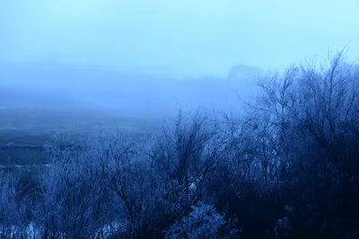 DSC_0992 (Large).JPG